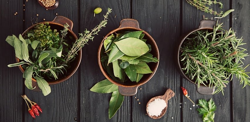 Customise your meal plans