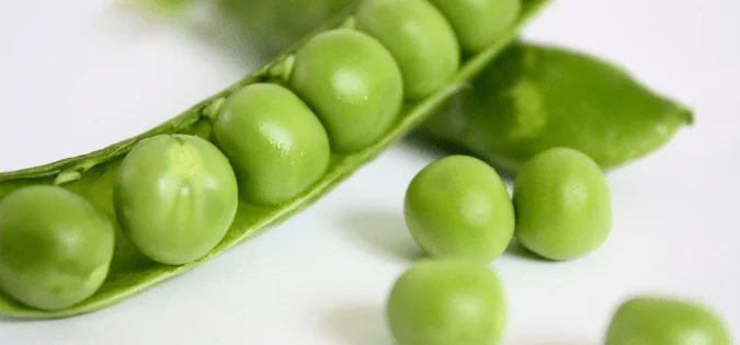 Pea Protein Powder